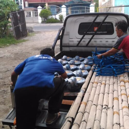 pintu air irigasi rpa