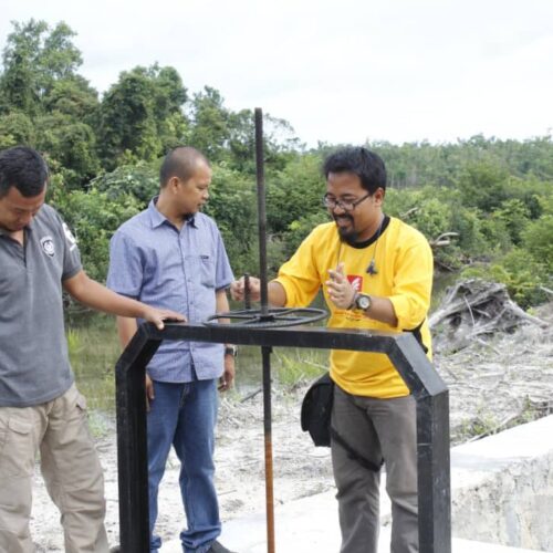 Faktor Yang Mempengaruhi Kinerja Pintu Air Irigasi