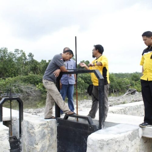 peninjauan tim raja pintu air di belitung